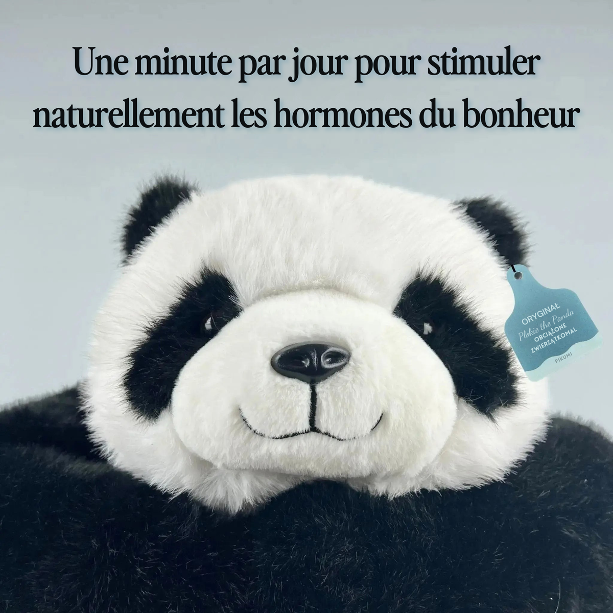 Mookie le Panda Lesté