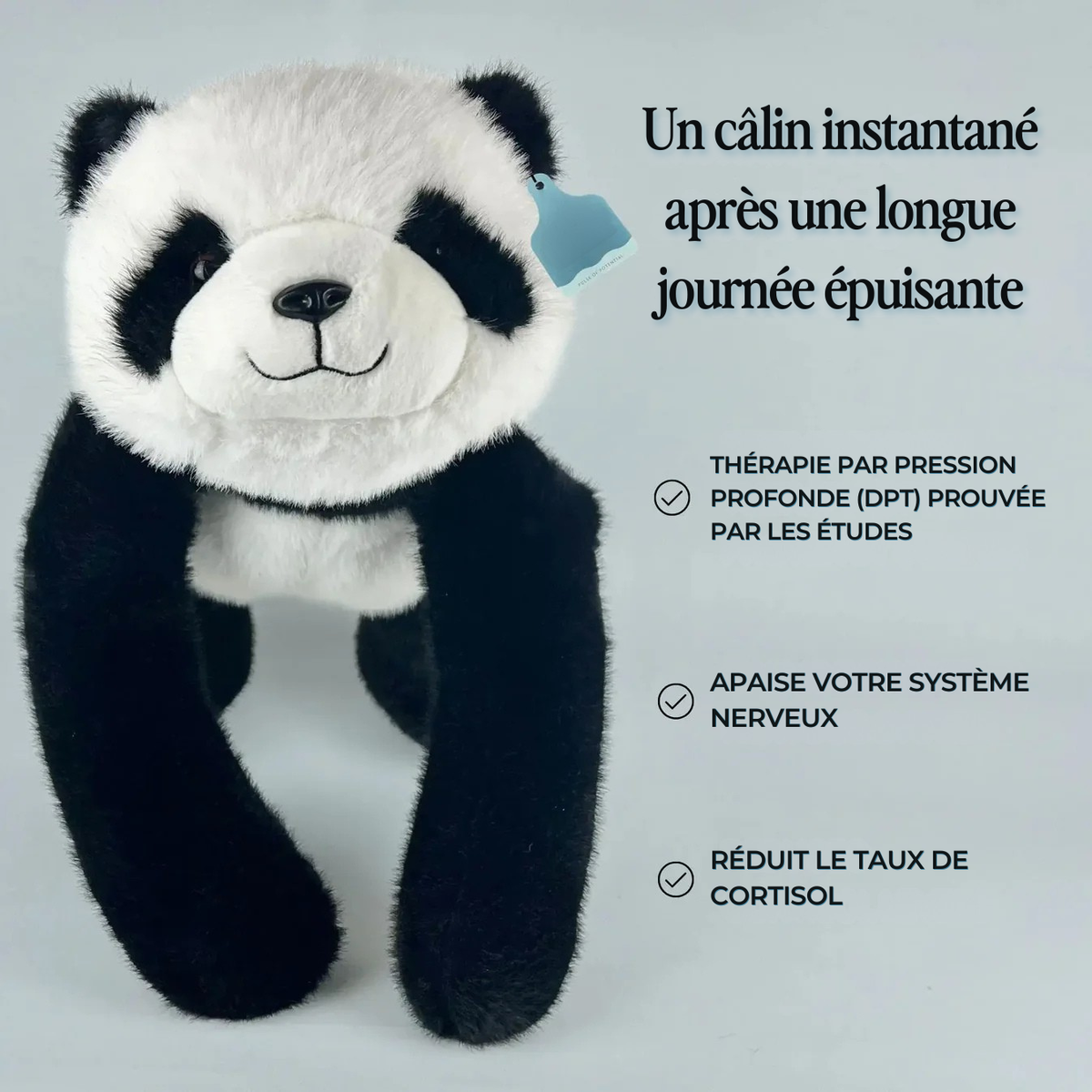 Mookie le Panda Lesté